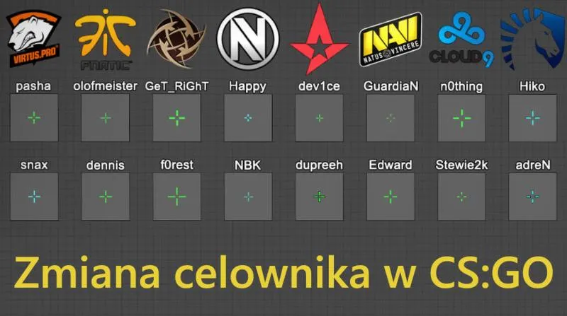 Celowniki pro graczy CS 2
