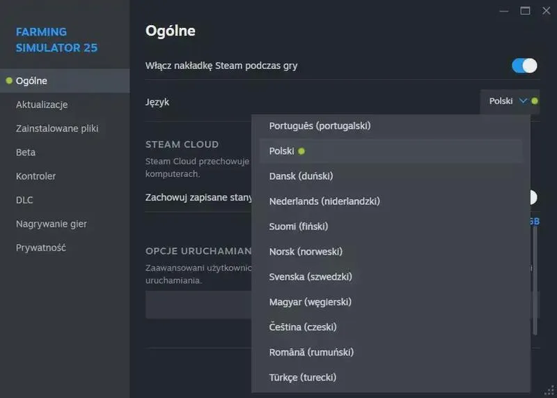 Problemy z językiem w grach