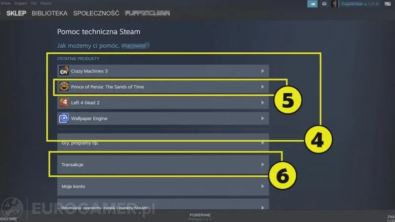 Zwrot gry na Steam